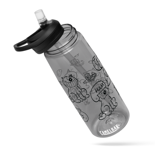 Sports water bottle