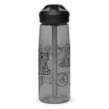 Sports water bottle